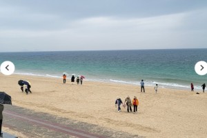 [상품코드 6500]   [당일/레트로낭만열차] 충남으로 떠나는 추억의 레트로 낭만 열차 [보령편] 8/23(일) 출발확정 ~~