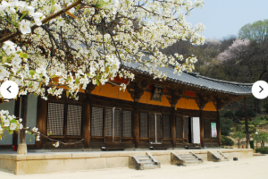 [상품코드 3700] [KTX이음] 영주 세계문화유산 & 한우 미식탐방 하루 기차여행 (부산출발) 중식,도시락제공 (인솔자 동행)