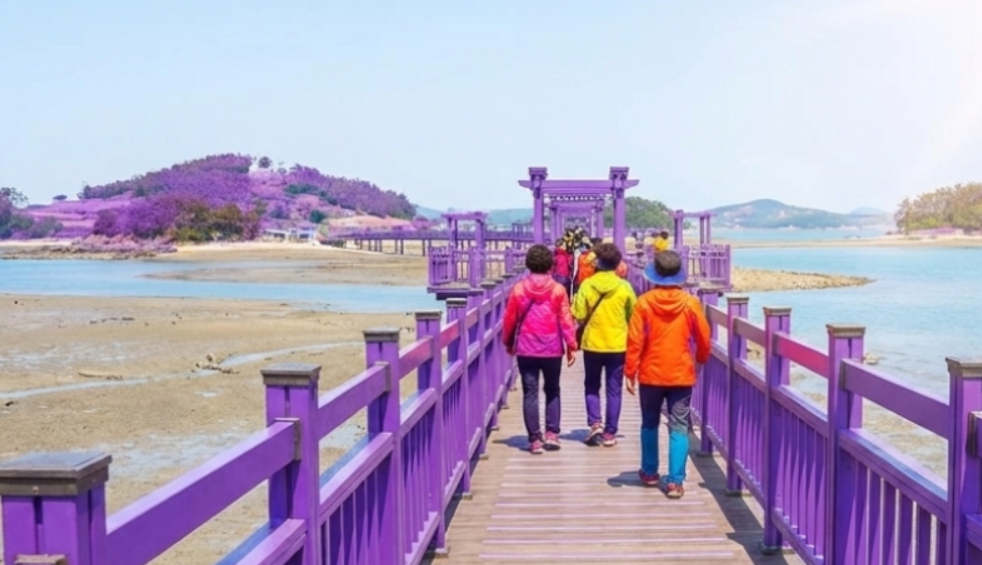 [상품코드 2350] [KTX / SRT ] 퍼플섬 천사대교 목포시티투어 1박2일
