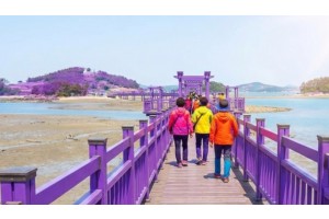 [상품코드 2350] [KTX / SRT ] 퍼플섬 천사대교 목포시티투어 1박2일