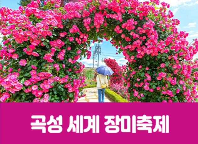 [상품코드 7799] 곡성세계장미축제&광한루원(중식제공) 가이드동행 수도권/충청권/경상권  출발  5/22,23,24,29,30,31 출발