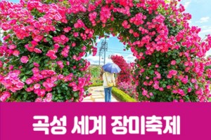 [상품코드 7799] 곡성세계장미축제&광한루원(중식제공) 가이드동행 수도권/충청권/경상권  출발  5/22,23,24,29,30,31 출발