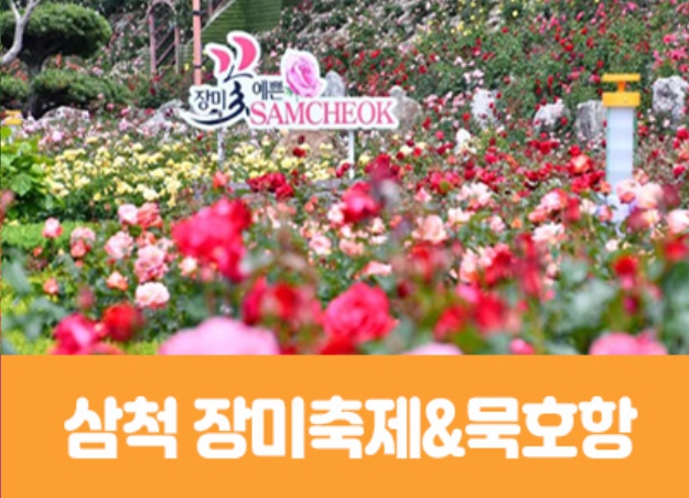 [상품코드 7575] 당일-강원도여행  [동해해변열차]삼척장미축제&묵호수산시장(중식제공) 가이드동행 수도권,경상권 출발확정 ~