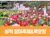 [상품코드 7575] 당일-강원도여행  [동해해변열차]삼척장미축제&묵호수산시장(중식제공) 가이드동행 수도권,경상권 출발확정 ~