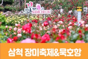[상품코드 7575] 당일-강원도여행  [동해해변열차]삼척장미축제&묵호수산시장(중식제공) 가이드동행 수도권,경상권 출발확정 ~