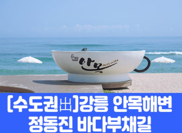 [상품코드 7978] [수도권출발]강릉 안목해변&정동진 바다부채길(중식제공) 대전,오송,천안아산출발