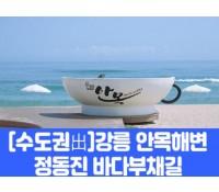 [상품코드 7978] [수도권출발]강릉 안목해변&정동진 바다부채길(중식제공) 대전,오송,천안아산출발