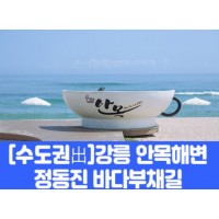 [상품코드 7978] [수도권출발]강릉 안목해변&정동진 바다부채길(중식제공) 대전,오송,천안아산출발