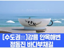 [상품코드 7978] [수도권출발]강릉 안목해변&정동진 바다부채길(중식제공) 대전,오송,천안아산출발