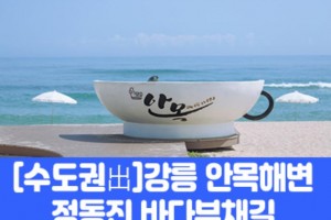 [상품코드 7978] [수도권출발]강릉 안목해변&정동진 바다부채길(중식제공) 대전,오송,천안아산출발