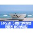 [상품코드 7978] [수도권출발]강릉 안목해변&정동진 바다부채길(중식제공) 대전,오송,천안아산출발
