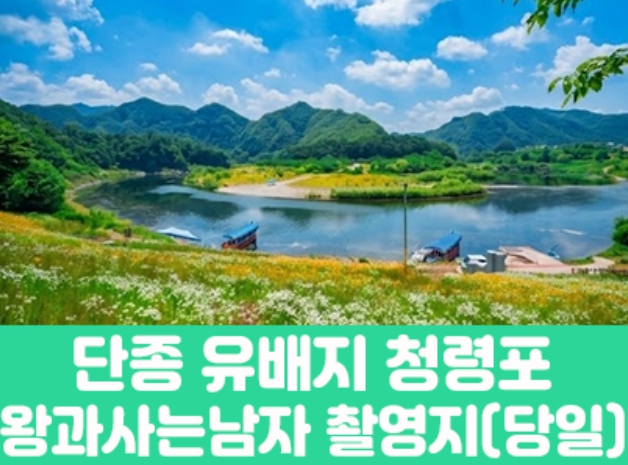 [상품코드 7902] 당일여행 단종 유배지 청령포&왕과사는남자 촬영지 (부전,동대구,청량리,대전,청주,오송 출발)(중식,석식제공)