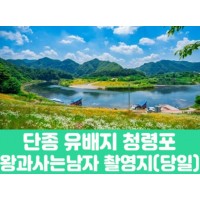 [상품코드 7902] 당일여행 단종 유배지 청령포&왕과사는남자 촬영지 (부전,동대구,청량리,대전,청주,오송 출발)(중식,석식제공)
