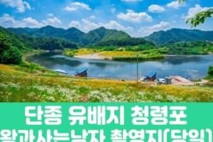 [상품코드 7902] 당일여행 단종 유배지 청령포&왕과사는남자 촬영지 (부전,동대구,청량리,대전,청주,오송 출발)(중식,석식제공)