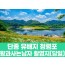 [상품코드 7902] 당일여행 단종 유배지 청령포&왕과사는남자 촬영지 (부전,동대구,청량리,대전,청주,오송 출발)(중식,석식제공)