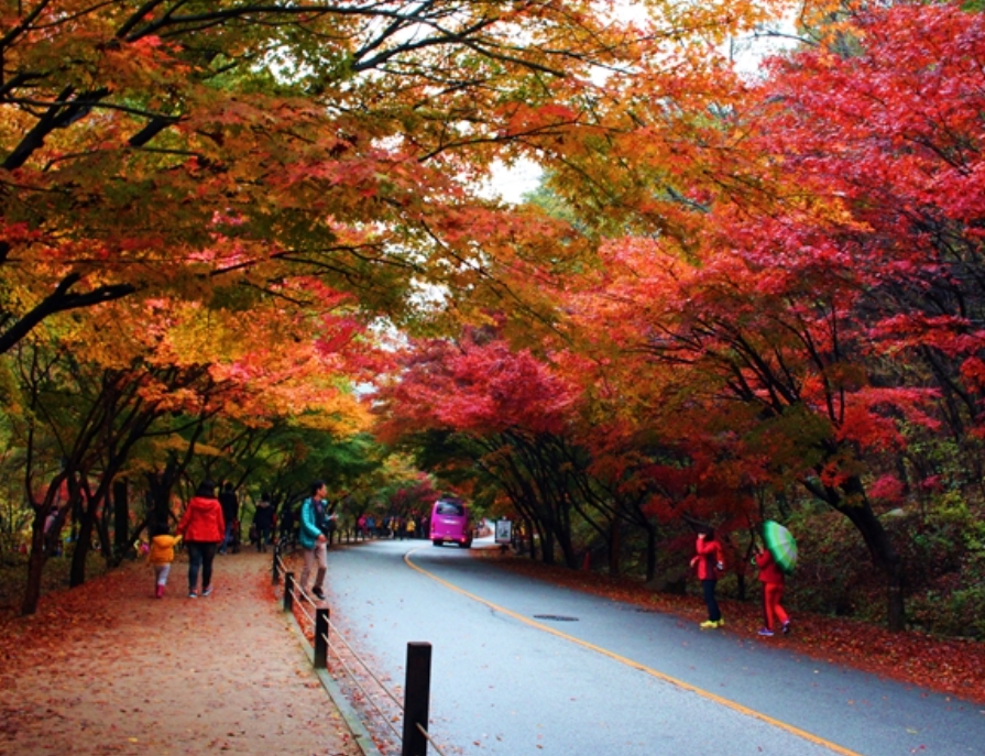 [상품코드 5944] #3 KTX / SRT 내장산 단풍 ◈전라별미기행◈ 1박2일(군산*장항*전주*정읍*고창)전일정식사제공(가이드동행)