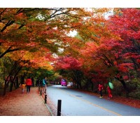 [상품코드 5944] #3 KTX / SRT 내장산 단풍 ◈전라별미기행◈ 1박2일(군산*장항*전주*정읍*고창)전일정식사제공(가이드동행)