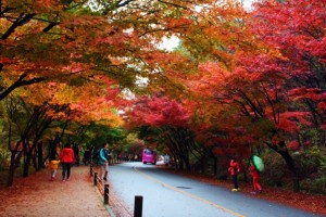[상품코드 5944] #3 KTX / SRT 내장산 단풍 ◈전라별미기행◈ 1박2일(군산*장항*전주*정읍*고창)전일정식사제공(가이드동행)