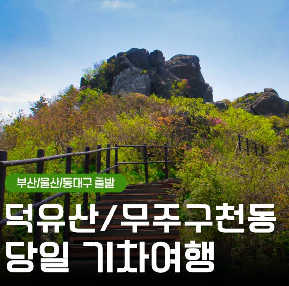 [상품코드 9102] 당일덕유산단풍여행 [KTX부산/울산/동대구] 덕유산 곤도라＆무주 구천동 계곡&금산 인삼시장 [중식제공]