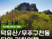 [상품코드 9102] 당일덕유산단풍여행 [KTX부산/울산/동대구] 덕유산 곤도라＆무주 구천동 계곡&금산 인삼시장 [중식제공]