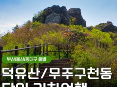 [상품코드 9102] 당일덕유산단풍여행 [KTX부산/울산/동대구] 덕유산 곤도라＆무주 구천동 계곡&금산 인삼시장 [중식제공]