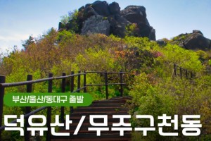 [상품코드 9102] 당일덕유산단풍여행 [KTX부산/울산/동대구] 덕유산 곤도라＆무주 구천동 계곡&금산 인삼시장 [중식제공]