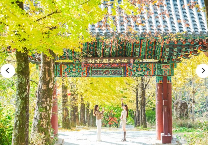[상품코드 3924] [KTX이음/ITX마음] 세계문화유산의 역사와 미식의 도시! 영주 하루 기차여행 (서울/부산 출발)출발확정