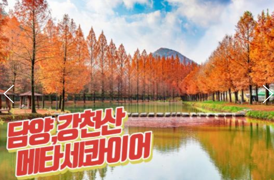 [상품코드 9124]  당일단풍여행 - 강천산 구름다리 가을단풍 & & 담양죽녹원 & 메타세콰이어 여행(중식제공)