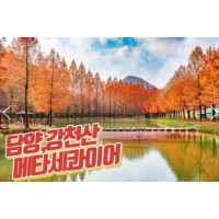 [상품코드 9124]  당일단풍여행 - 강천산 구름다리 가을단풍 & & 담양죽녹원 & 메타세콰이어 여행(중식제공)