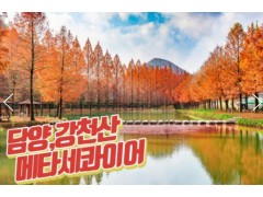 [상품코드 9124]  당일단풍여행 - 강천산 구름다리 가을단풍 & & 담양죽녹원 & 메타세콰이어 여행(중식제공)