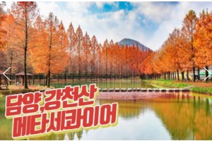 [상품코드 9124]  당일단풍여행 - 강천산 구름다리 가을단풍 & & 담양죽녹원 & 메타세콰이어 여행(중식제공)