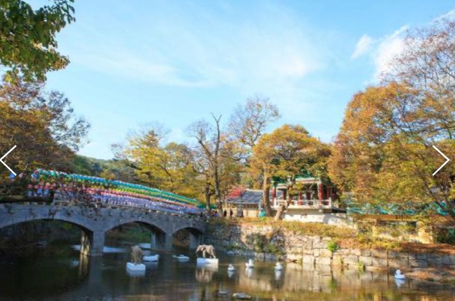 [상품코드 9324] 당일 마곡사단풍여행 [서울역,수원역,수서역 출발] 세계유산 산사!! 마곡사 가을단풍 & 청양 출렁다리 & 고운식물원 여행 [중식제공]