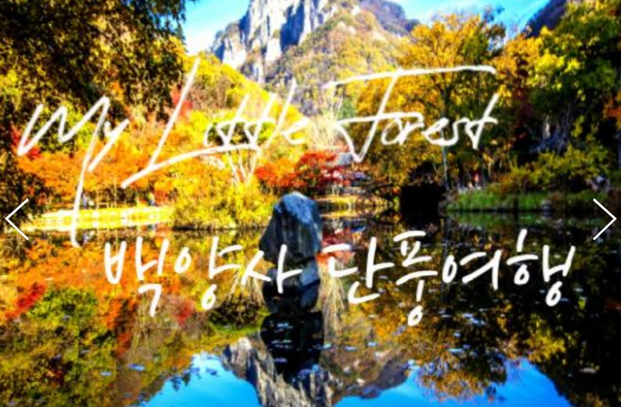 [상품코드 9178] 백양사단풍당일여행 (수원역/서대전역 출발)  새마을호 - 천년 고찰!! 백양사 애기 가을단풍 여행(07:03분출발)