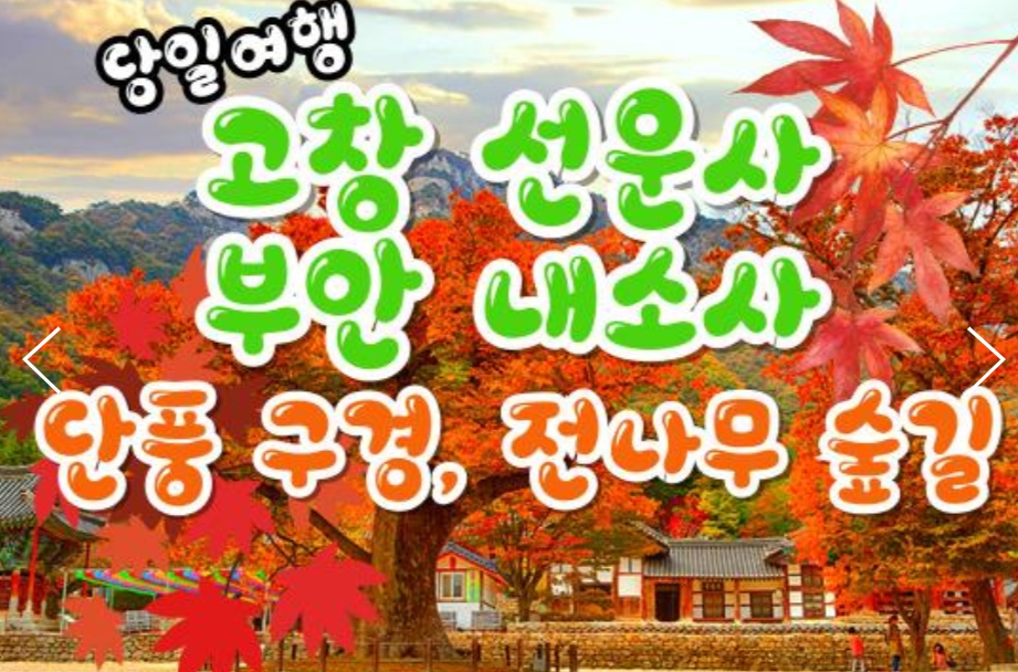 [상품코드 9142] 가을당일단풍여행  KTX 용산,수서출발- 고창 선운사 가을단풍 & 부안 내소사 * 전나무 숲길 여행 (당일)