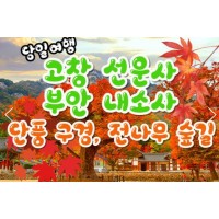 [상품코드 9142] 가을당일단풍여행  KTX 용산,수서출발- 고창 선운사 가을단풍 & 부안 내소사 * 전나무 숲길 여행 (당일)