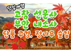 [상품코드 9142] 가을당일단풍여행  KTX 용산,수서출발- 고창 선운사 가을단풍 & 부안 내소사 * 전나무 숲길 여행 (당일)