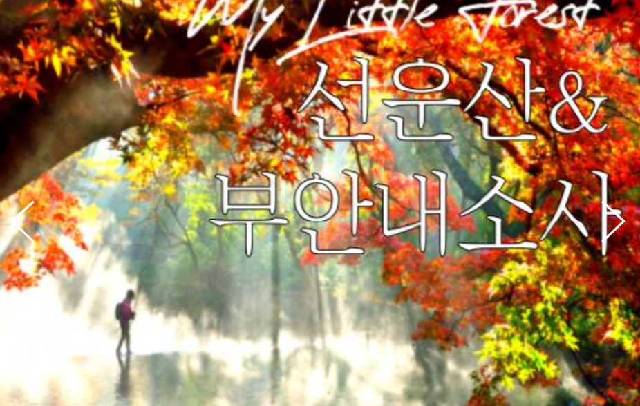 [상품코드 9144] 선운사당일단풍여행 (수원역,서대전 출발) 고창 선운사 가을단풍 & 부안 내소사 * 전나무 숲길 여행