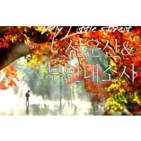 [상품코드 9144] 선운사당일단풍여행 (수원역,서대전 출발)새마을+무궁화 - 고창 선운사 가을단풍 & 부안 내소사 * 전나무 숲길 여행