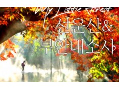 [상품코드 9144] 선운사당일단풍여행 (수원역,서대전 출발) 고창 선운사 가을단풍 & 부안 내소사 * 전나무 숲길 여행