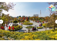 [상품코드 3198] 당일 [KTX] 2026 익산 농촌크리에이투어 ”기차타고 국화-홀릭” (당일형) 10/24(토) 출발확정 ~