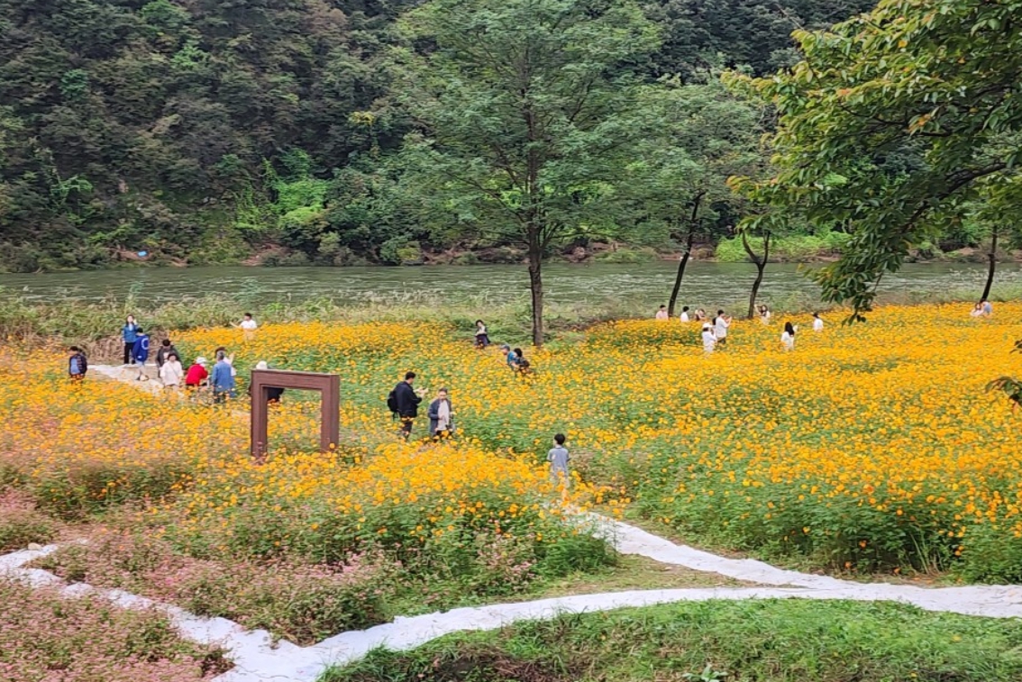 [상품코드 5056] 왕사남)영월 붉은메밀꽃축제&청령포 그리고 장릉