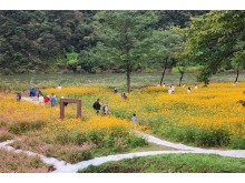 [상품코드 5056] 왕사남)영월 붉은메밀꽃축제&청령포 그리고 장릉