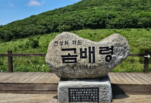 [상품코드 6495] ITX- 곰배령 힐링트레킹 & 속초 기차여행(가이드동행) 출발확정
