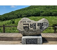 [상품코드 6495] ITX- 곰배령 힐링트레킹 & 속초 기차여행(가이드동행) 출발확정