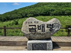[상품코드 6495] ITX- 곰배령 힐링트레킹 & 속초 기차여행(가이드동행) 출발확정