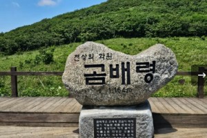 [상품코드 6495] ITX- 곰배령 힐링트레킹 & 속초 기차여행(가이드동행) 출발확정