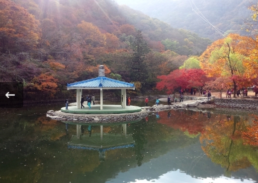 [상품코드 6299] 당일 내장산여행  KTX- 내장산조각공원ㆍ내장산단풍기차여행(가이드동행) 중식제공 10:40출발