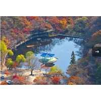 [상품코드 6299] 당일 내장산여행  KTX- 내장산조각공원ㆍ내장산단풍기차여행(가이드동행) 중식제공 10:40출발