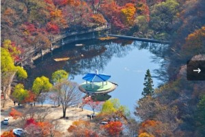 [상품코드 6299] 당일 내장산여행  KTX- 내장산조각공원ㆍ내장산단풍기차여행(가이드동행) 중식제공 10:40출발