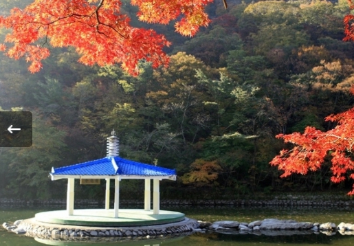 [상품코드 6199] 당일내장산여행 ITX새마을- 내장산조각공원ㆍ내장산단풍 기차여행(가이드동행) 중식제공 08:44출발